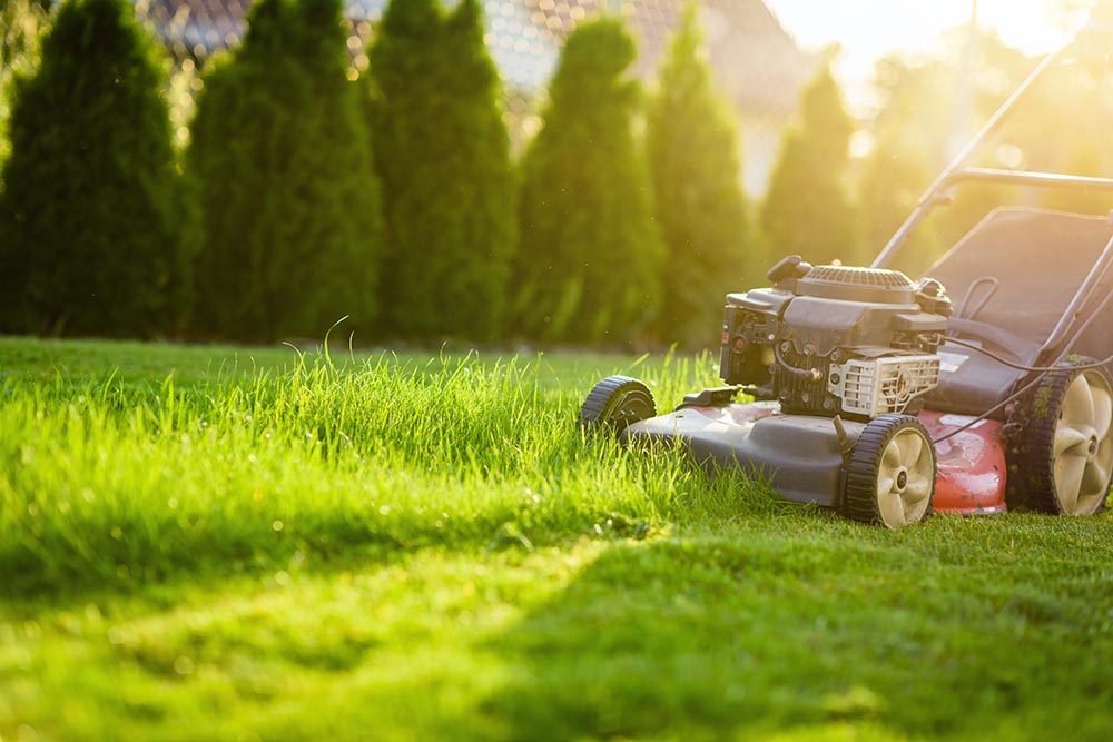 mowing grass kansas city