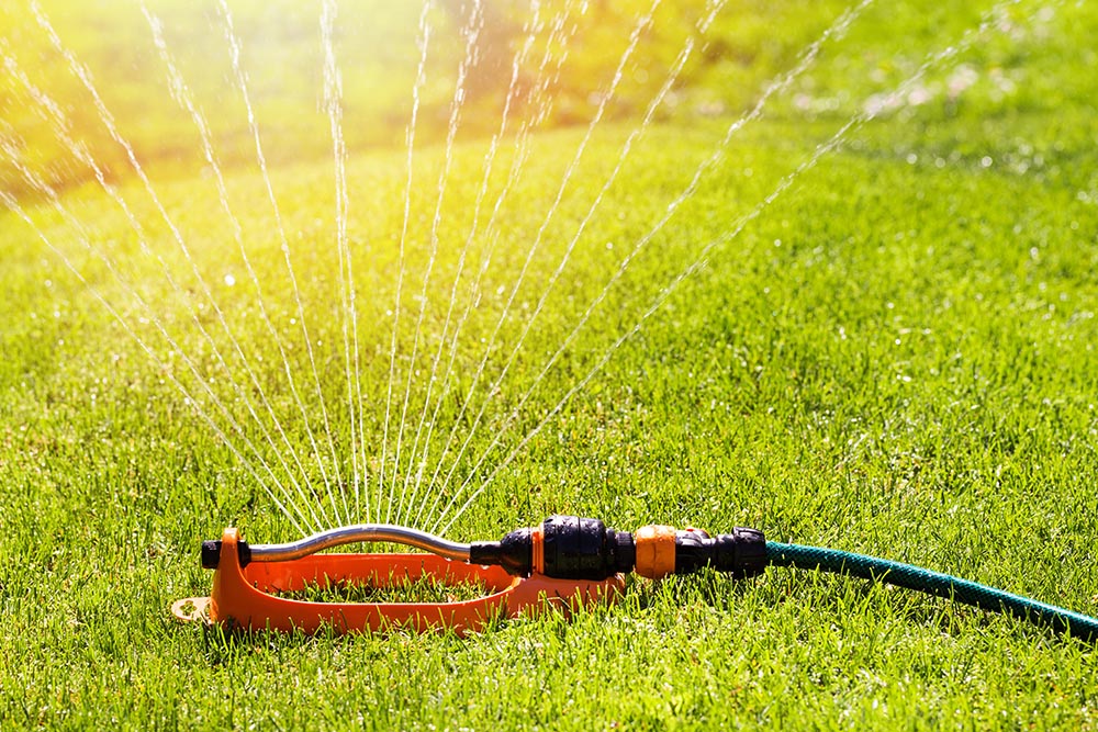 Sprinkler vs. hose: which is better for your lawn?